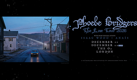 More Info for Phoebe Bridgers