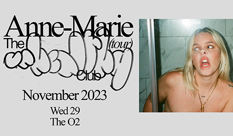 justin bieber purpose tour uk More Info for Anne-Marie