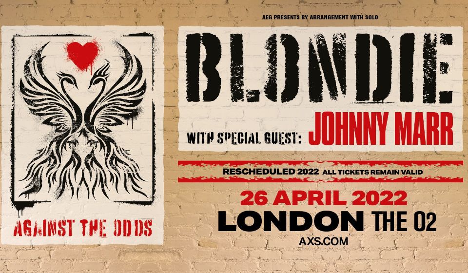 More Info for Blondie