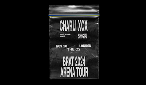 More Info for Charli XCX