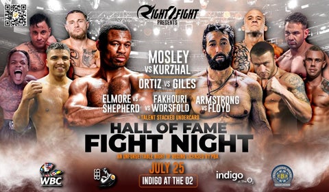 Hall of Fame Fight Night