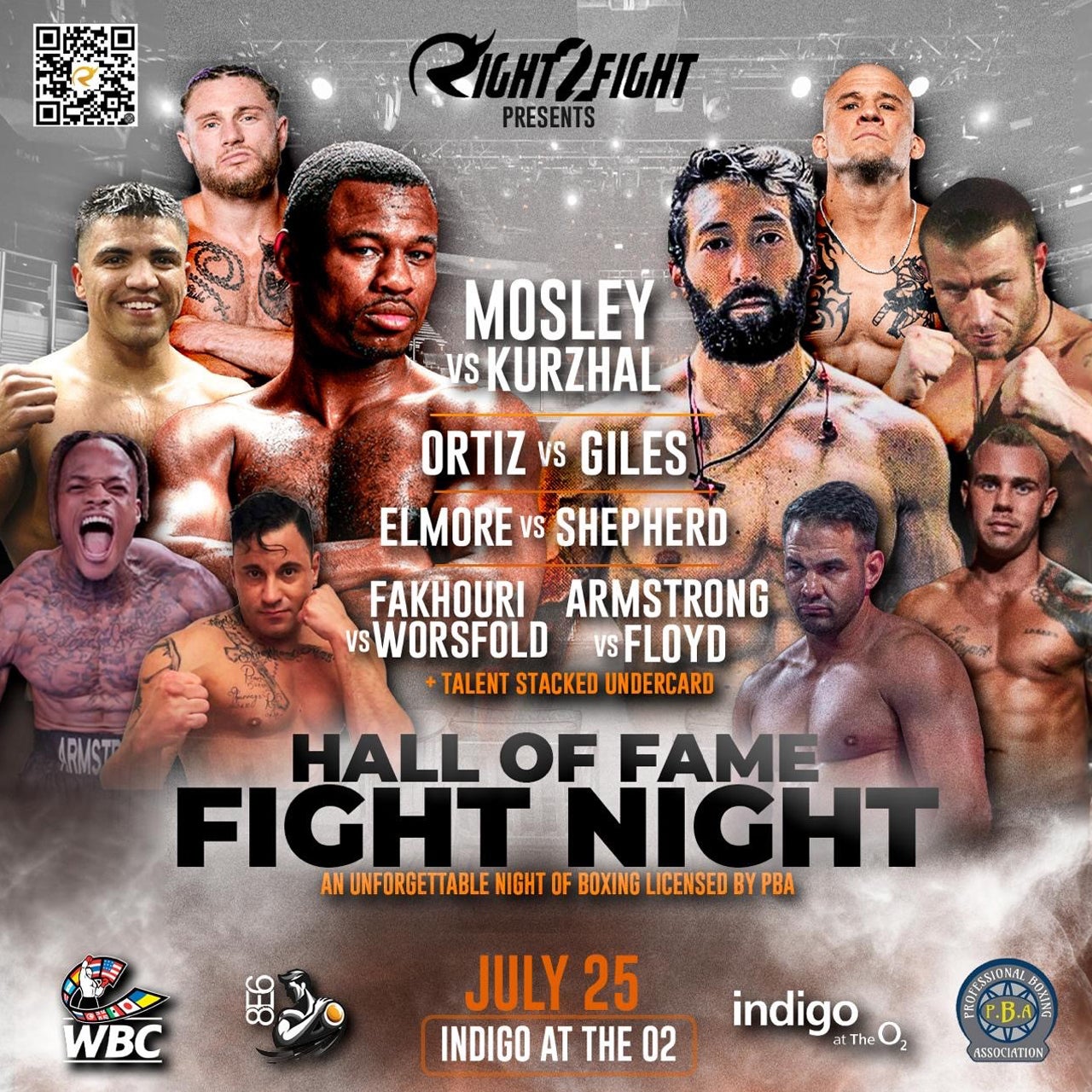 Hall of Fame Fight Night
