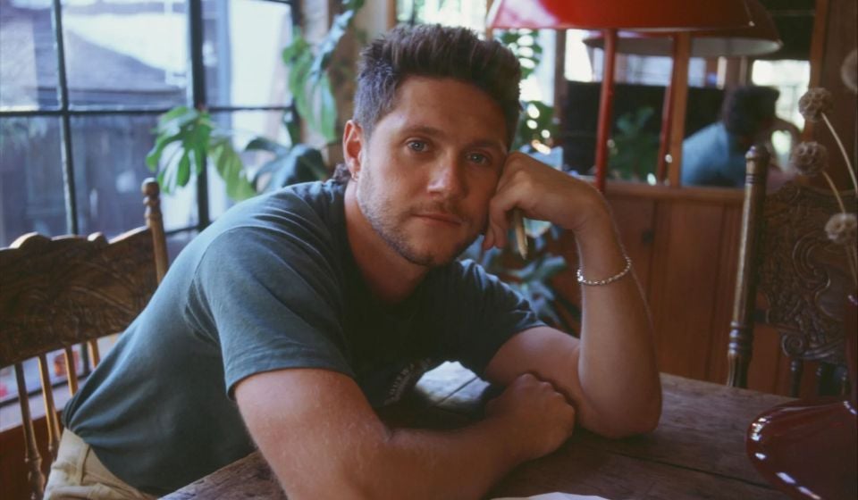 More Info for Niall Horan