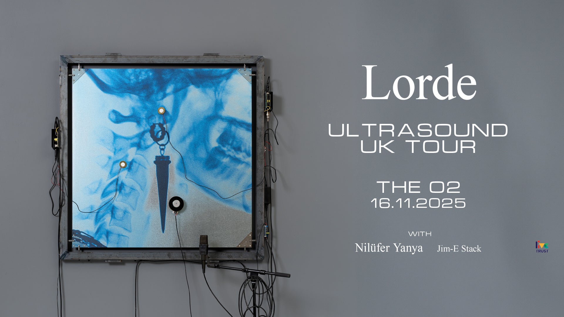 Promotional poster for Lorde's