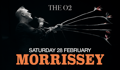 More Info for Morrissey