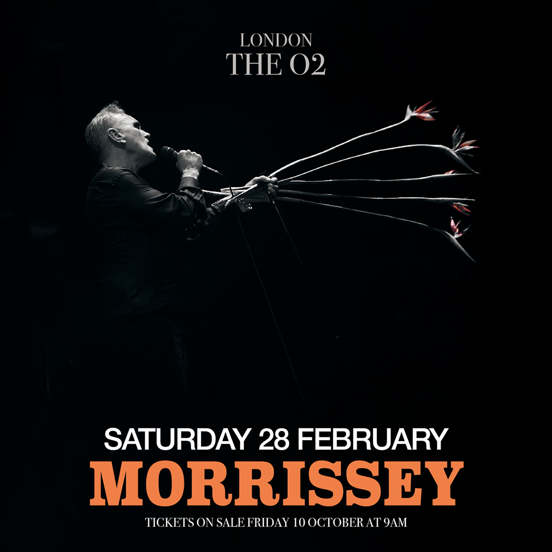 More Info for Morrissey