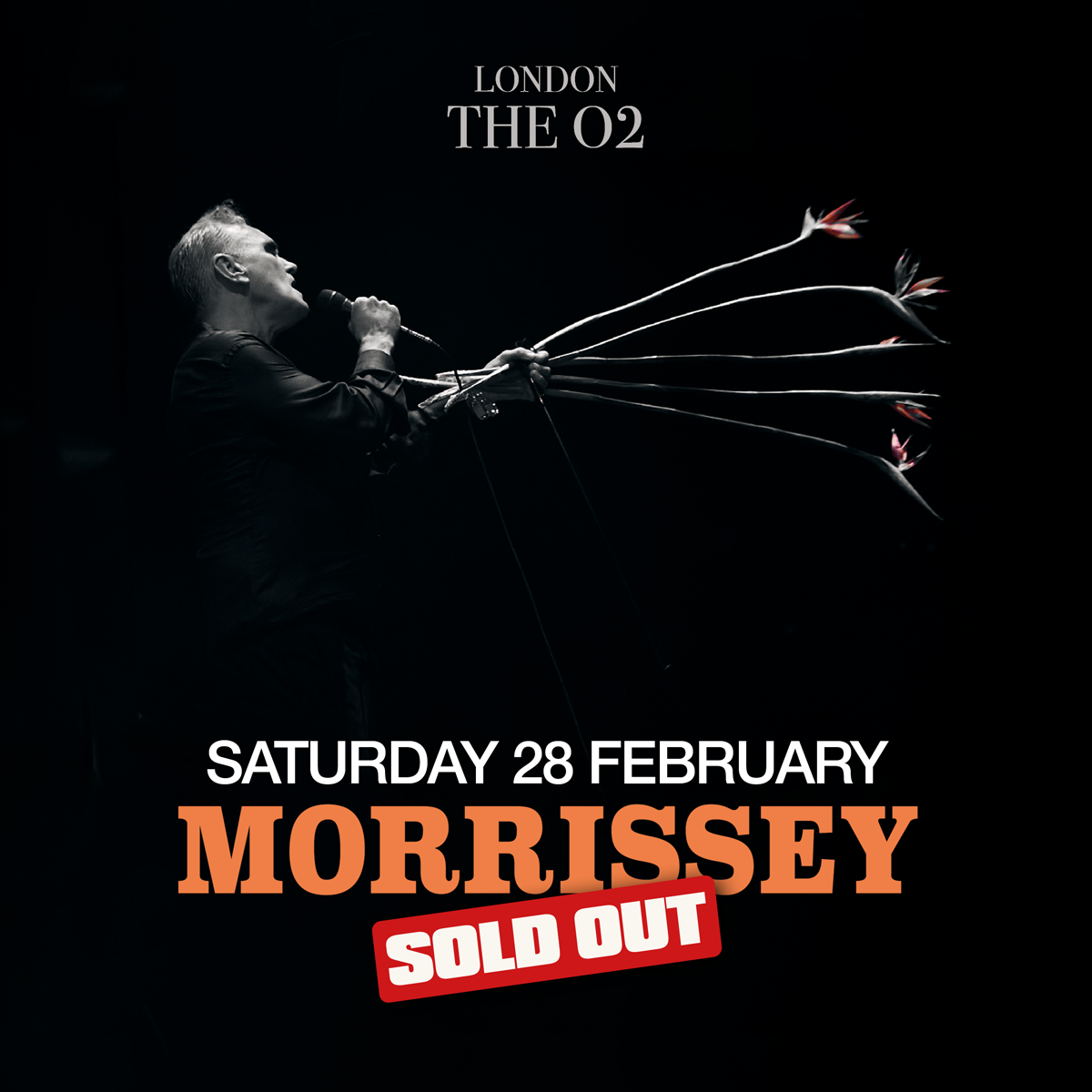 More Info for Morrissey