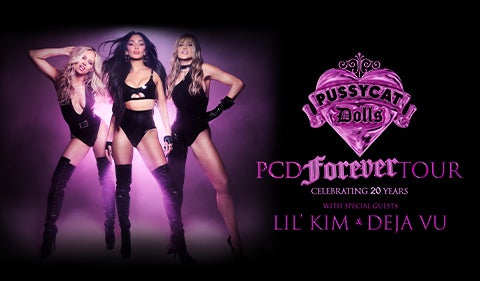 More Info for The Pussycat Dolls