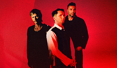 More Info for Muse